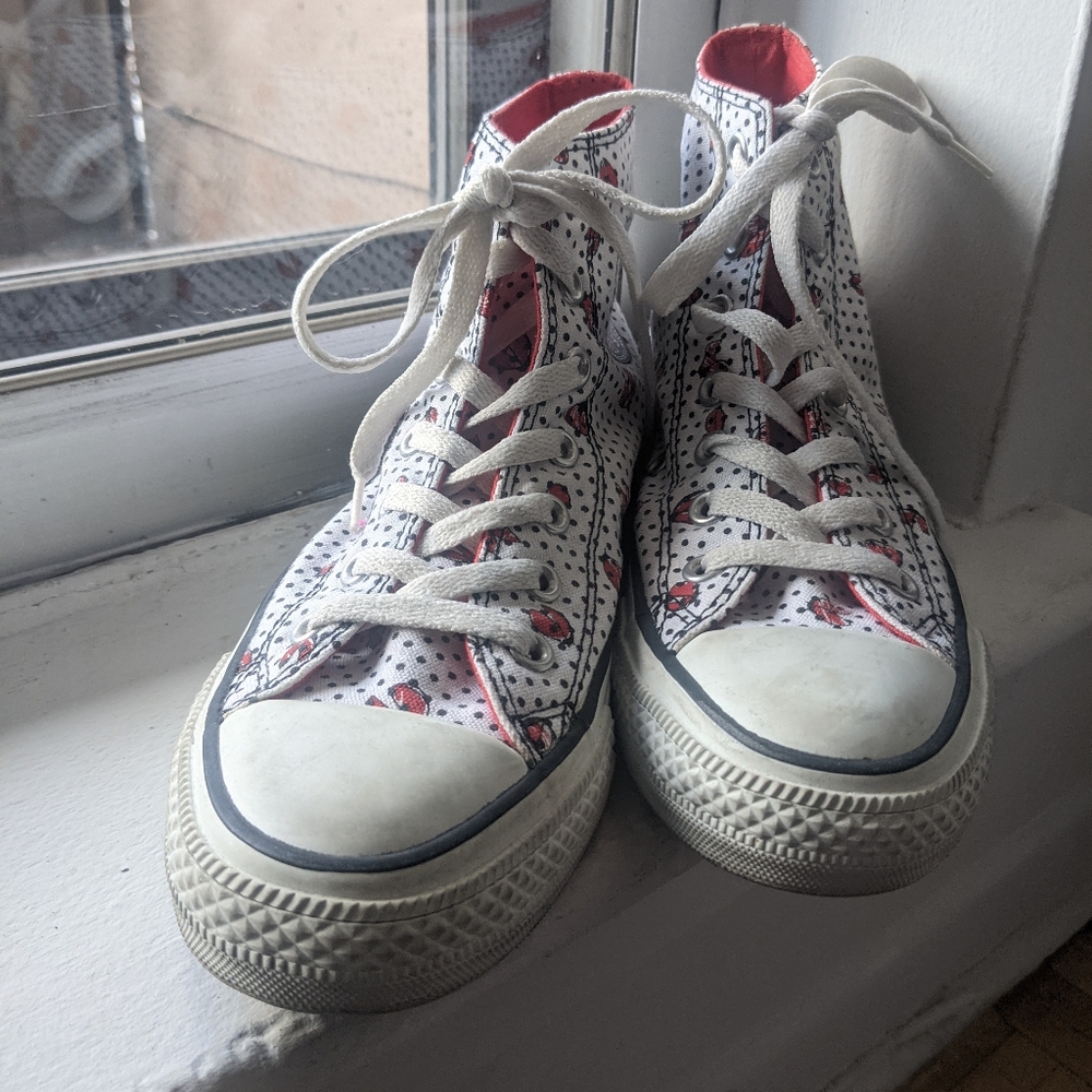 Ladybug Converse High Tops